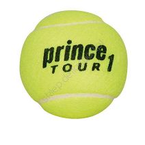 Tenis ziemny