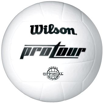 Piłka siatkowa Wilson Pro Tour Indoor WTH3900 roz.5