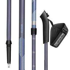 Kije nordic walking CLOUD 945421 NY/BL - 3