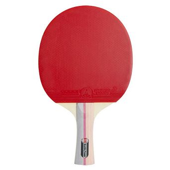 Rakietka do ping ponga Double Power 3 Star TT01003